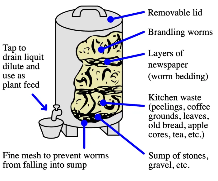 Biodegradable Waste & Vermiculture