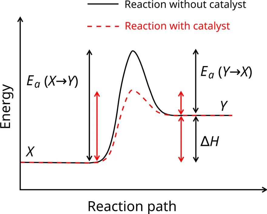 Catalyst lowering activation energy