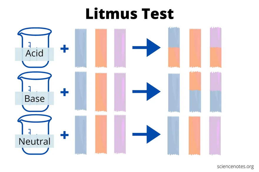 Litmus indicator colour changes