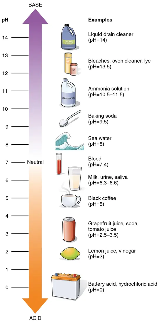pH scale (0-14)