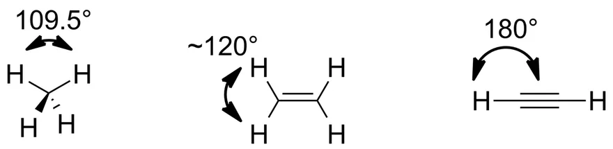 Hydrocarbons and Their Types