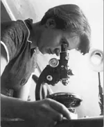 Rosalind Franklin