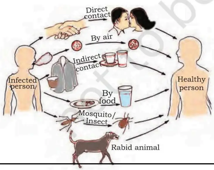 Common methods of disease transmission - direct contact, air, indirect contact, food/water, mosquito and rabid animals.