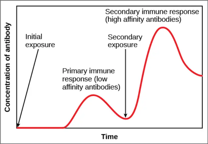Vaccines & Immunisation